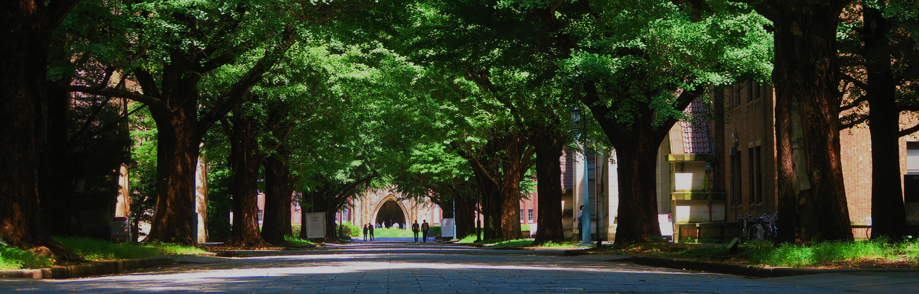 キービジュアル