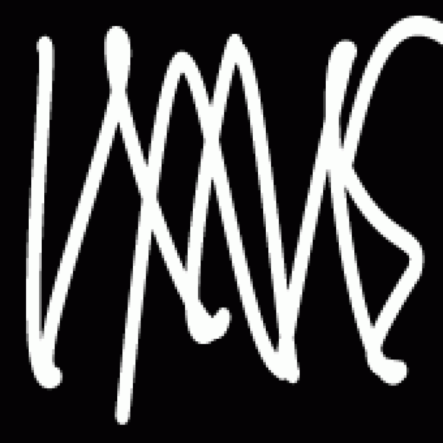   Institute of Advanced Media Arts and Sciences